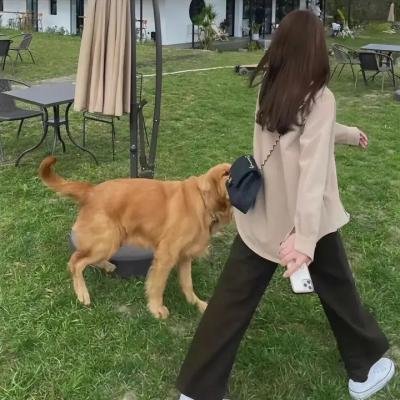 恋爱迷宫第二季
